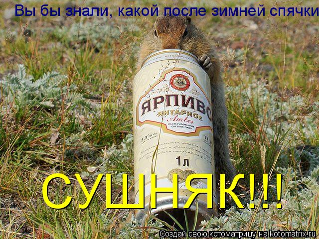 Котоматрица: Вы бы знали, какой после зимней спячки СУШНЯК!!!
