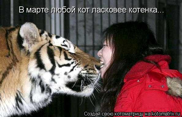 Котоматрица: В марте любой кот ласковее котенка...