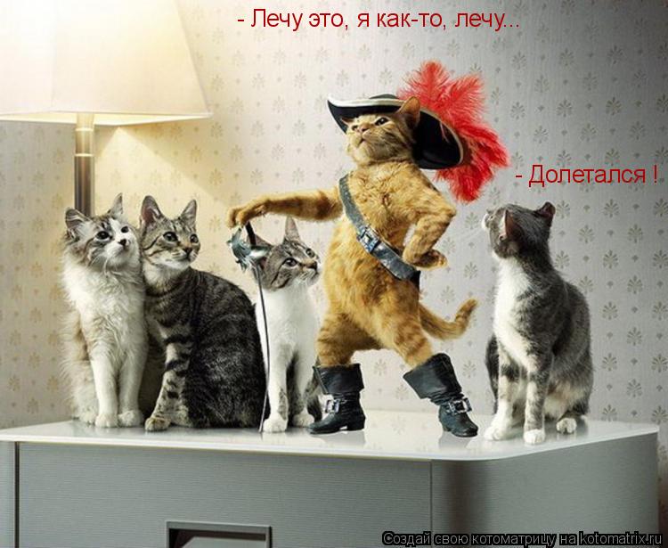 Котоматрица: - Лечу это, я как-то, лечу... - Долетался !