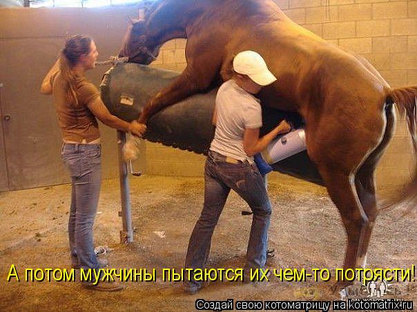 Котоматрица: А потом мужчины пытаются их чем-то потрясти!..