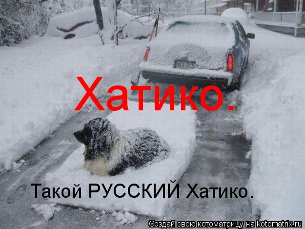 Котоматрица: Хатико.  Такой РУССКИЙ Хатико.