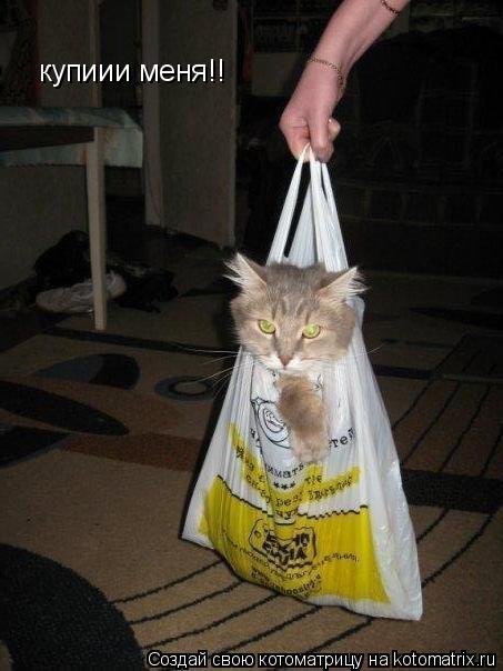 Котоматрица: купиии меня!!
