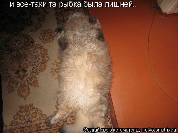 Котоматрица: и все-таки та рыбка была лишней...