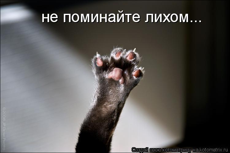 Котоматрица: не поминайте лихом...