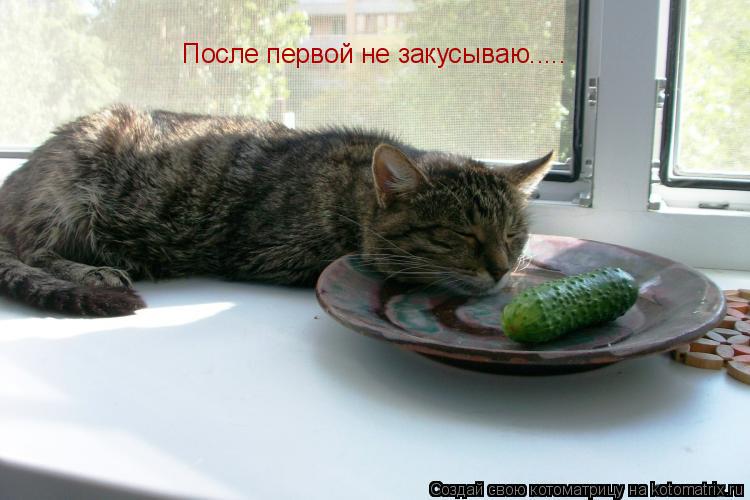 Котоматрица: После первой не закусываю.....