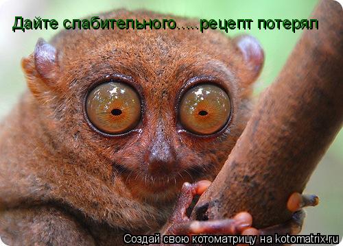 Котоматрица: Дайте слабительного.....рецепт потерял