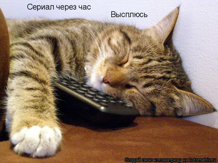 Котоматрица: Сериал через час Высплюсь