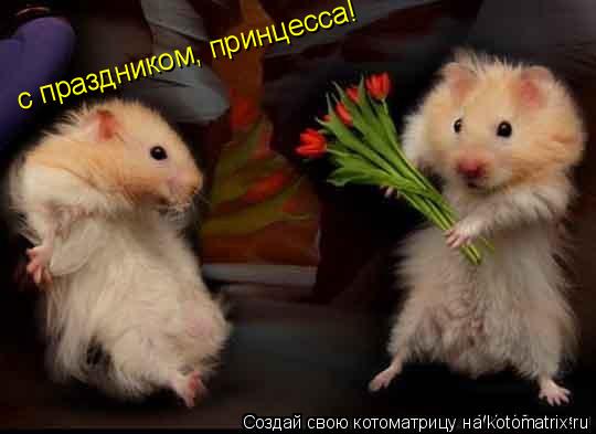 Котоматрица: с праздником, принцесса!