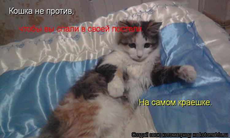 Котоматрица: Кошка не против,   чтобы вы спали в своей постели.  На самом краешке.