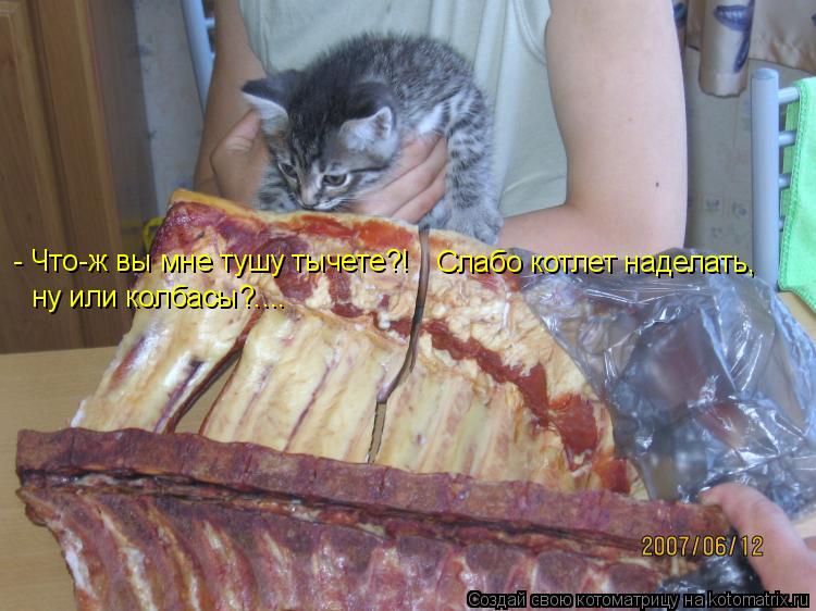 Котоматрица: - Что-ж вы мне тушу тычете?! Слабо котлет наделать, ну или колбасы?....
