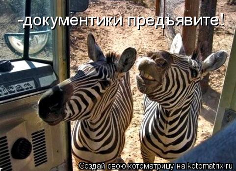 Котоматрица: -документики предъявите!