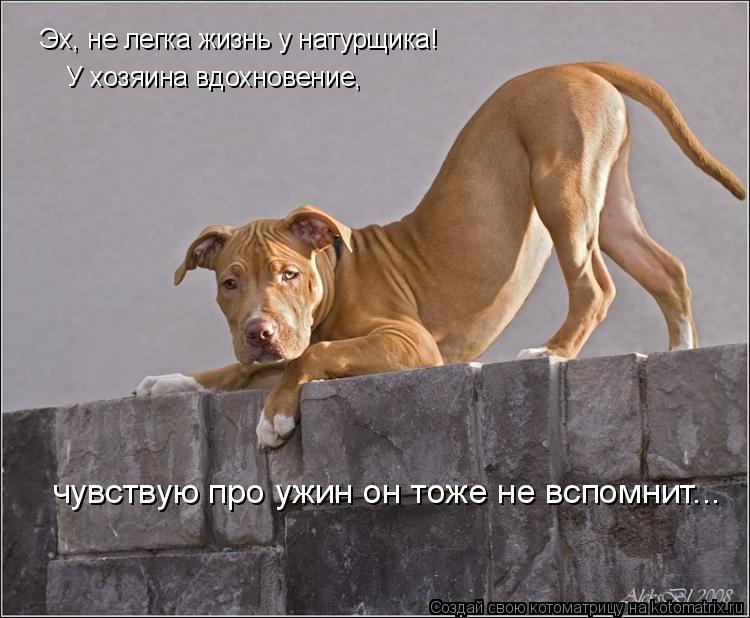 Котоматрица: Эх, не легка жизнь у натурщика! У хозяина вдохновение,  чувствую про ужин он тоже не вспомнит...