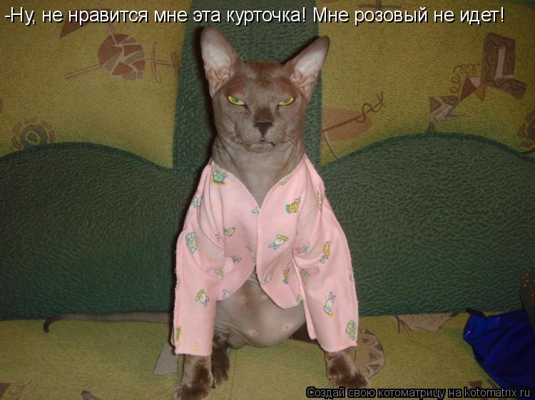 Котоматрица: -Ну, не нравится мне эта курточка! Мне розовый не идет!