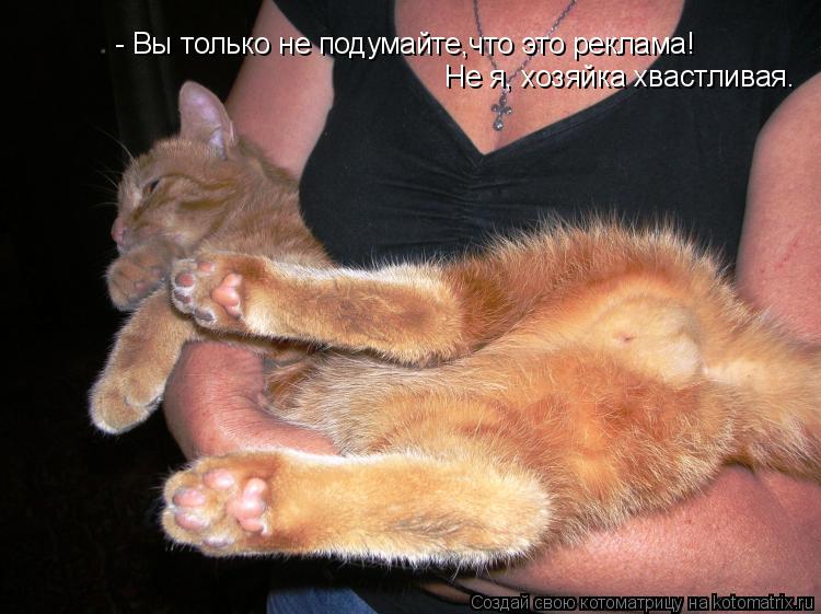 - Вы только не подумайте,что это реклама! Не я, хозяйка хвастливая.... Котоматрица: - Вы только не подумайте,что это реклама! Не я, хозяйка хвастливая.
