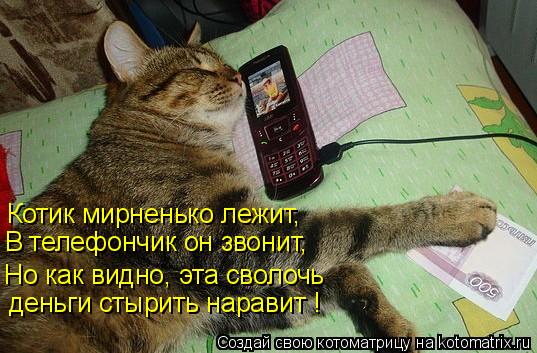 Котик мирненько лежит, В телефончик он звонит, Но как видно, эта сволочь деньги стырить наравит !... Котоматрица: Котик мирненько лежит, В телефончик он звонит, Но как видно, эта сволочь деньги стырить наравит !