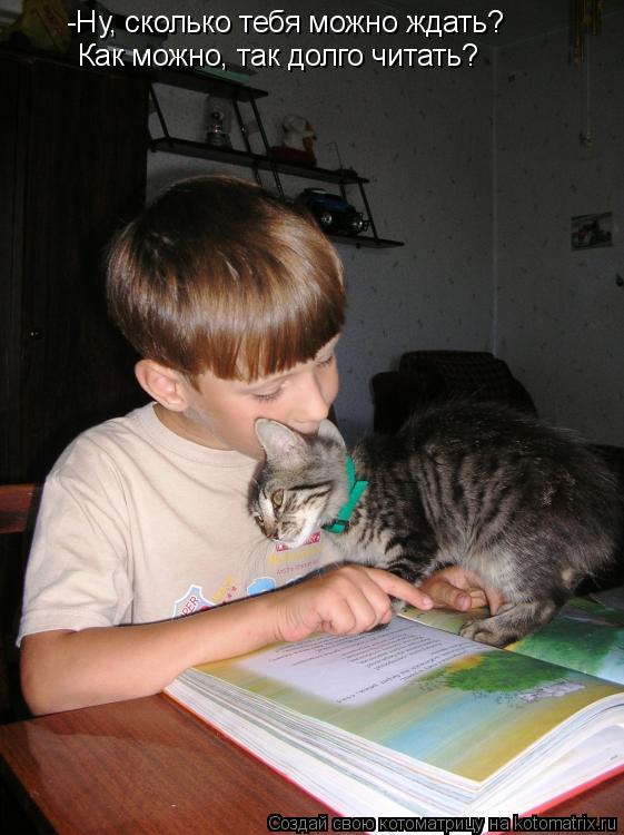 -Ну, сколько тебя можно ждать? Как можно, так долго читать?... Котоматрица: -Ну, сколько тебя можно ждать? Как можно, так долго читать?