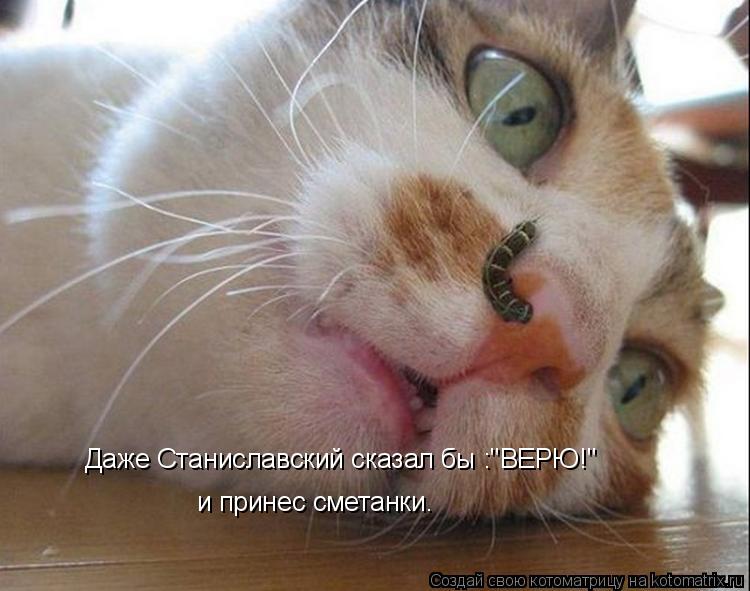 Даже Станиславский сказал бы :"ВЕРЮ!" и принес сметанки.... Котоматрица: Даже Станиславский сказал бы :"ВЕРЮ!" и принес сметанки.