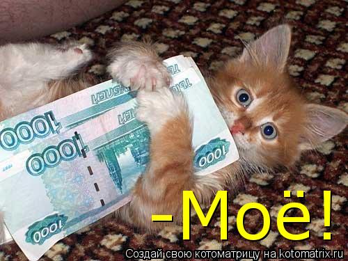 -Моё!... Котоматрица: -Моё!