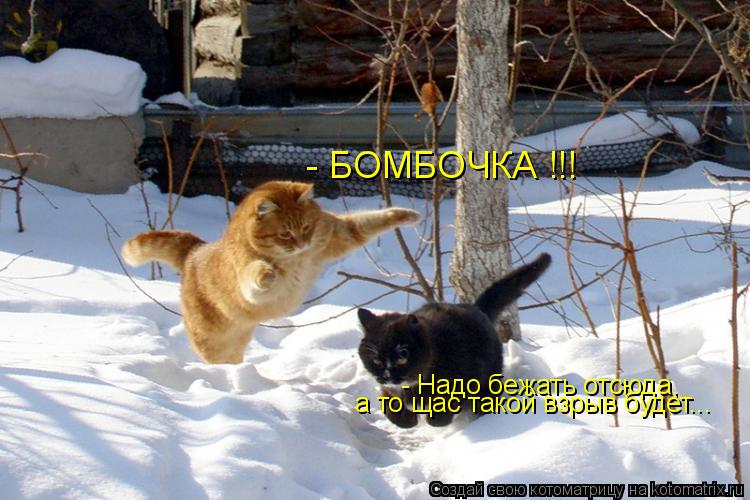 - БОМБОЧКА !!! - Надо бежать отсюда, а то щас такой взрыв будет...... Котоматрица: - БОМБОЧКА !!! - Надо бежать отсюда, а то щас такой взрыв будет...