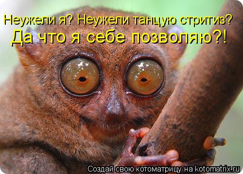 Неужели я? Неужели танцую стритиз? Да что я себе позволяю?!... Котоматрица: Неужели я? Неужели танцую стритиз? Да что я себе позволяю?!