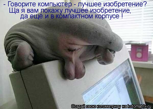 - Говорите компьютер - лучшее изобретение? Ща я вам покажу лучшее изобретение, да ещё и в компактном ... Котоматрица: - Говорите компьютер - лучшее изобретение? Ща я вам покажу лучшее изобретение, да ещё и в компактном корпусе !