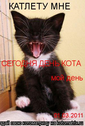 КАТЛЕТУ МНЕ СЕГОДНЯ ДЕНЬ КОТА мой день 01.03.2011... Котоматрица: КАТЛЕТУ МНЕ СЕГОДНЯ ДЕНЬ КОТА мой день 01.03.2011