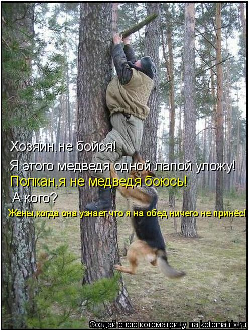 Я этого медведя одной лапой уложу! Хозяин,не бойся! Полкан,я не медведя боюсь! А кого? Жены,когда она... Котоматрица: Я этого медведя одной лапой уложу! Хозяин,не бойся! Полкан,я не медведя боюсь! А кого? Жены,когда она узнает,что я на обед ничего не принёс!