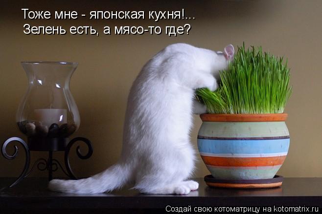 Тоже мне - японская кухня!... Зелень есть, а мясо-то где?... Котоматрица: Тоже мне - японская кухня!... Зелень есть, а мясо-то где?