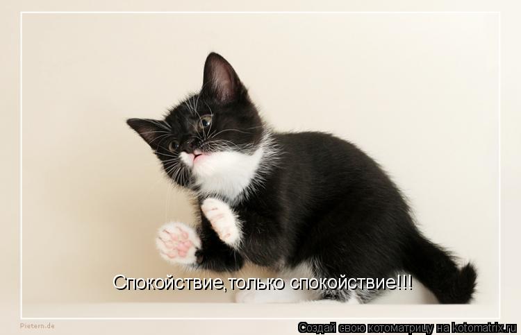 Спокойствие,только спокойствие!!!... Котоматрица: Спокойствие,только спокойствие!!!