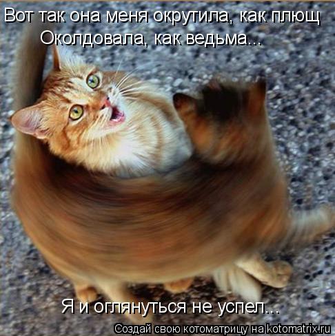 Вот так она меня окрутила, как плющ Околдовала, как ведьма... Я и оглянуться не успел...... Котоматрица: Вот так она меня окрутила, как плющ Околдовала, как ведьма... Я и оглянуться не успел...