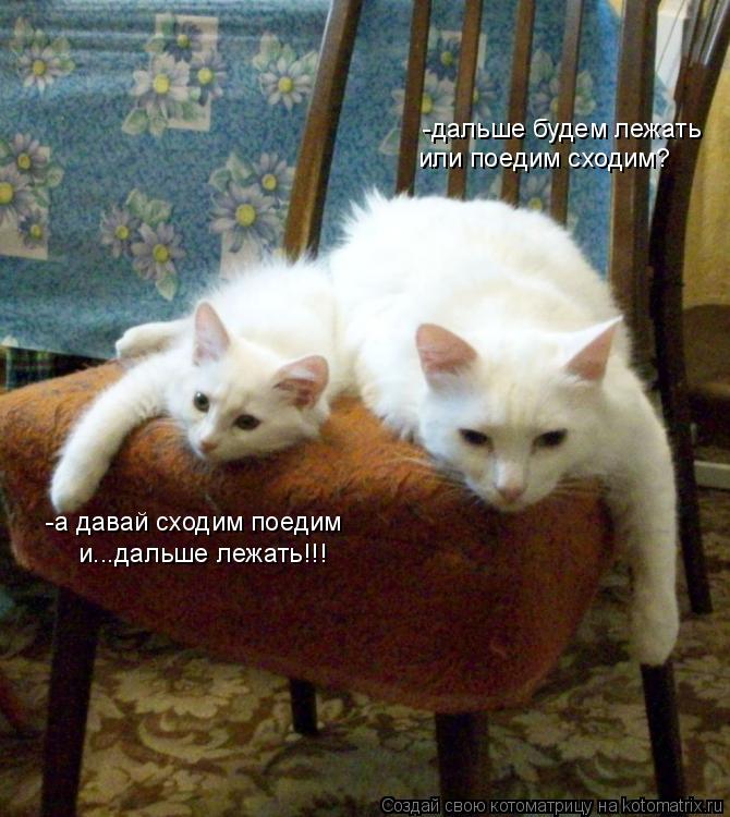 -дальше будем лежать или поедим сходим? -а давай сходим поедим и...дальше лежать!!!... Котоматрица: -дальше будем лежать или поедим сходим? -а давай сходим поедим и...дальше лежать!!!