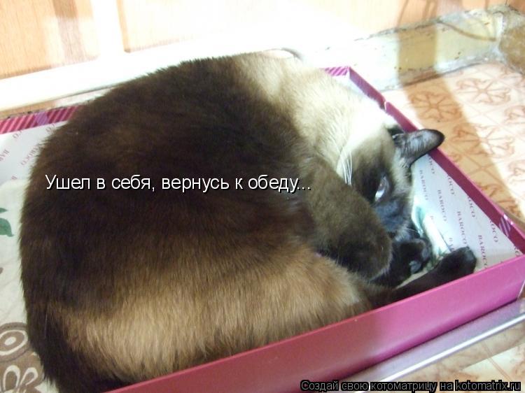 Ушел в себя, вернусь к обеду...... Котоматрица: Ушел в себя, вернусь к обеду...