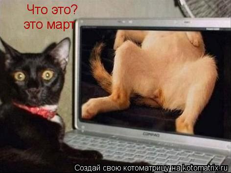 Что это? это март... Котоматрица: Что это? это март