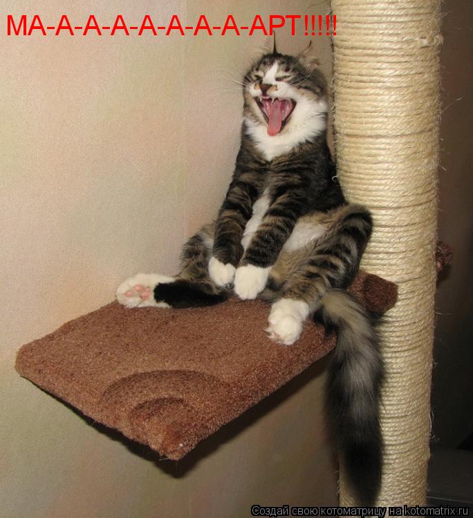 Котоматрица: МА-А-А-А-А-А-А-А-АРТ!!!!!
