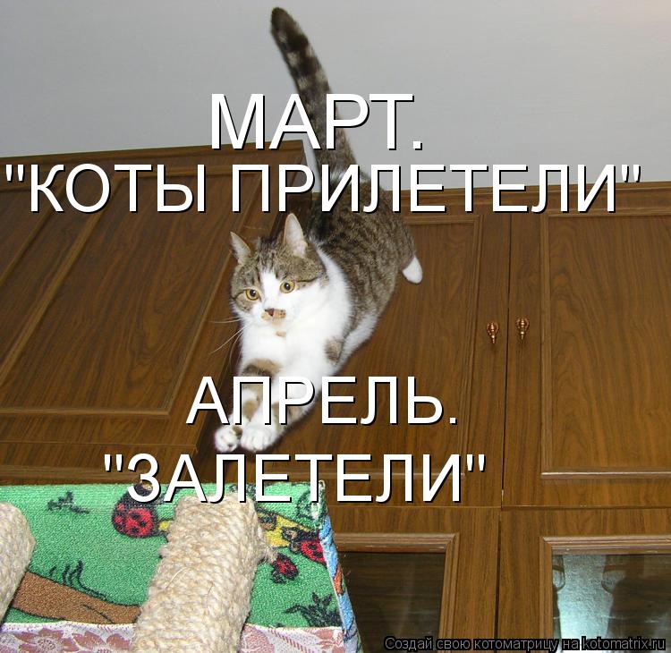 МАРТ. "КОТЫ ПРИЛЕТЕЛИ" АПРЕЛЬ. "ЗАЛЕТЕЛИ"... Котоматрица: МАРТ. "КОТЫ ПРИЛЕТЕЛИ" АПРЕЛЬ. "ЗАЛЕТЕЛИ"