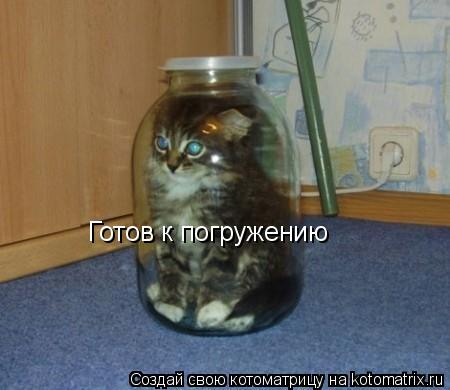 Котоматрица: Готов к погружению