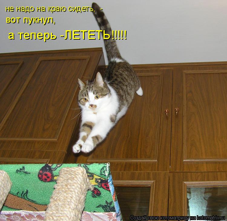 Котоматрица: не надо на краю сидеть,  - вот пукнул, а теперь -ЛЕТЕТЬ!!!!!
