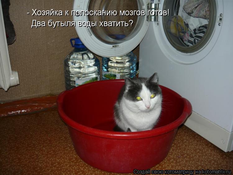 Котоматрица: - Хозяйка к полосканию мозгов готов!   Два бутыля воды хватить?