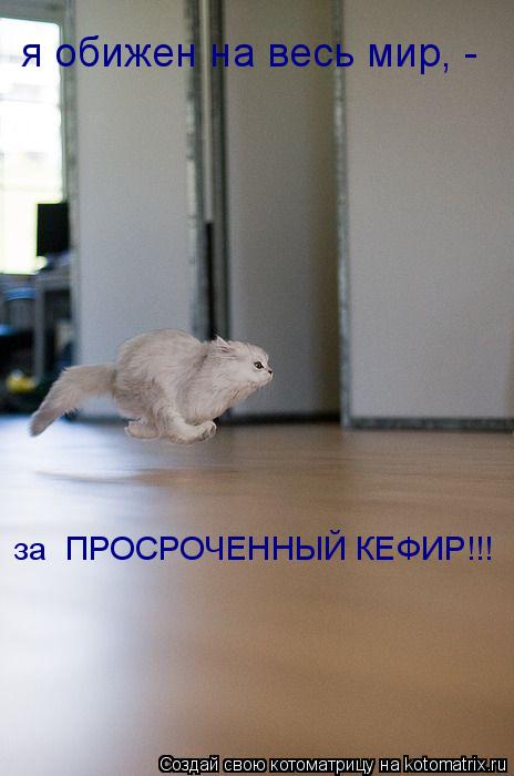 я обижен на весь мир, - за ПРОСРОЧЕННЫЙ КЕФИР!!!... Котоматрица: я обижен на весь мир, - за ПРОСРОЧЕННЫЙ КЕФИР!!!