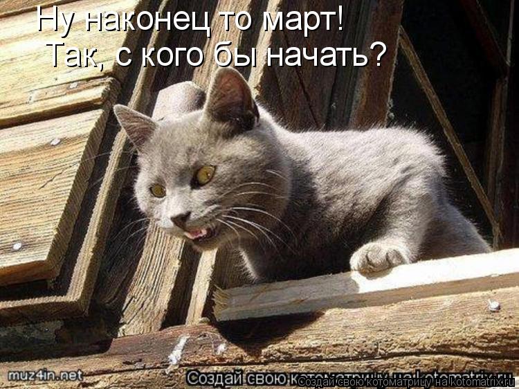 Ну наконец то март! Так, с кого бы начать?... Котоматрица: Ну наконец то март! Так, с кого бы начать?
