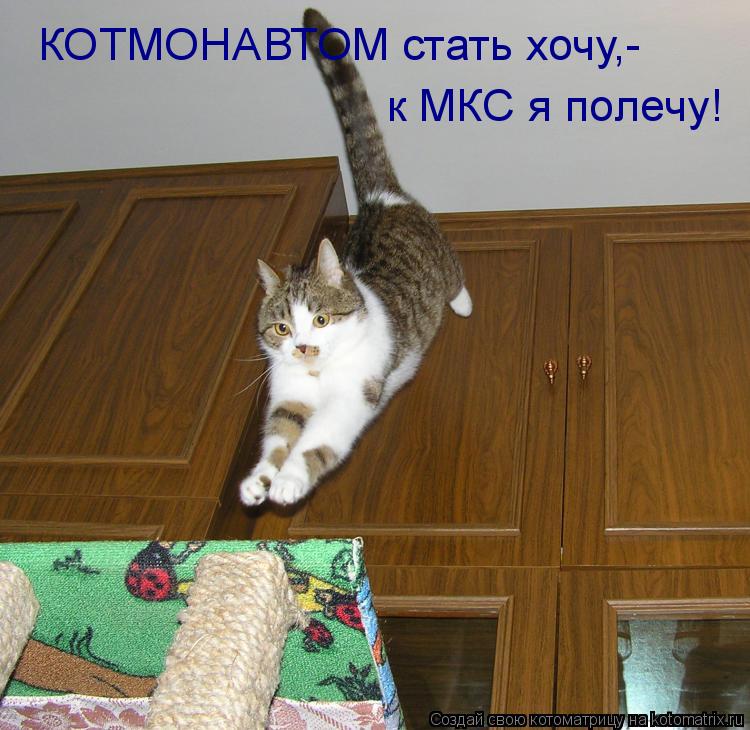 КОТМОНАВТОМ стать хочу,- к МКС я полечу!... Котоматрица: КОТМОНАВТОМ стать хочу,- к МКС я полечу!