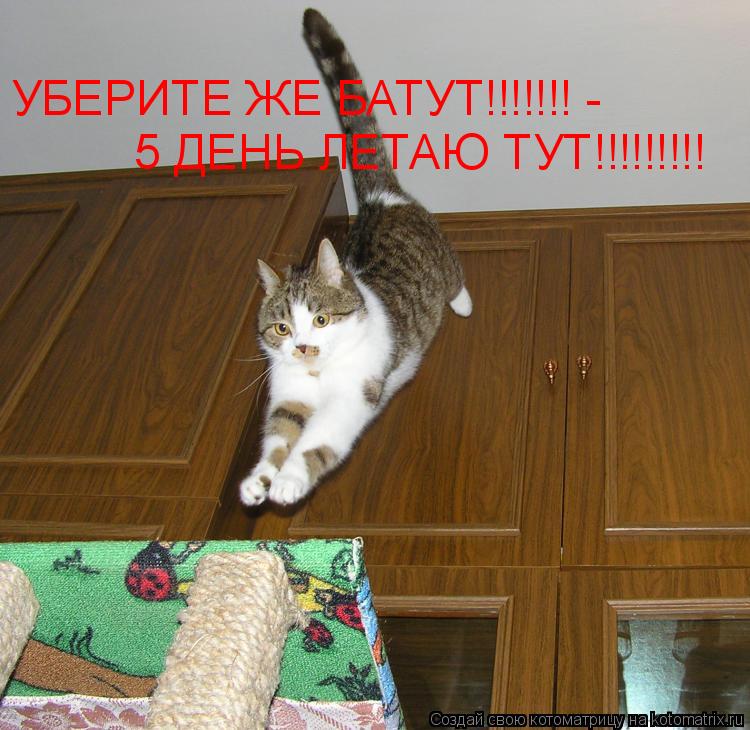 УБЕРИТЕ ЖЕ БАТУТ!!!!!!! - 5 ДЕНЬ ЛЕТАЮ ТУТ!!!!!!!!!... Котоматрица: УБЕРИТЕ ЖЕ БАТУТ!!!!!!! - 5 ДЕНЬ ЛЕТАЮ ТУТ!!!!!!!!!