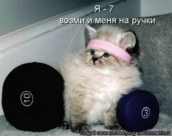 Я - 7 возми и меня на ручки... Котоматрица: Я - 7 возми и меня на ручки