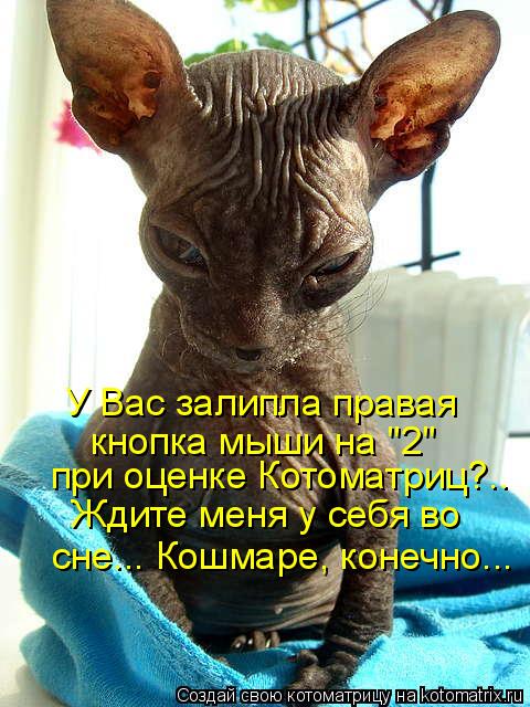 У Вас залипла правая кнопка мыши на "2" при оценке Котоматриц?.. Ждите меня у себя во сне... Кошмаре,... Котоматрица: У Вас залипла правая кнопка мыши на "2" при оценке Котоматриц?.. Ждите меня у себя во сне... Кошмаре, конечно...