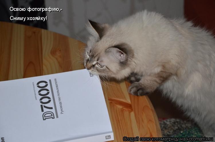 Освою фотографию,- Сниму хозяйку!... Котоматрица: Освою фотографию,- Сниму хозяйку!