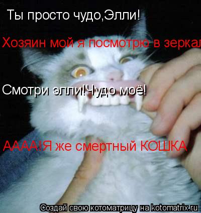 Ты просто чудо,Элли! Хозяин мой я посмотрю в зеркало! Смотри элли!Чудо моё! АААА!Я же смертный КОШКА... Котоматрица: Ты просто чудо,Элли! Хозяин мой я посмотрю в зеркало! Смотри элли!Чудо моё! АААА!Я же смертный КОШКА