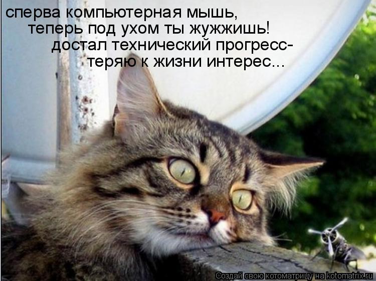 сперва компьютерная мышь, теперь под ухом ты жужжишь! достал технический прогресс- теряю к жизни инте... Котоматрица: сперва компьютерная мышь, теперь под ухом ты жужжишь! достал технический прогресс- теряю к жизни интерес...