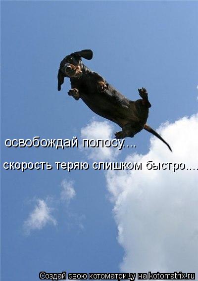 освобождай полосу.... скорость теряю слишком быстро....... Котоматрица: освобождай полосу.... скорость теряю слишком быстро....