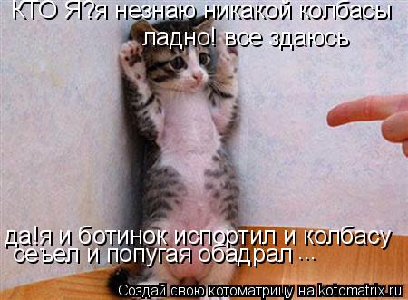 КТО Я?я незнаю никакой колбасы ладно! все здаюсь да!я и ботинок испортил и колбасу сеъел и попугая о... Котоматрица: КТО Я?я незнаю никакой колбасы ладно! все здаюсь да!я и ботинок испортил и колбасу сеъел и попугая обадрал ...