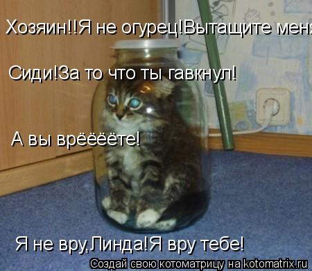 Котоматрица: Хозяин!!Я не огурец!Вытащите меня! Сиди!За то что ты гавкнул! А вы врёёёёте! Я не вру,Линда!Я вру тебе!